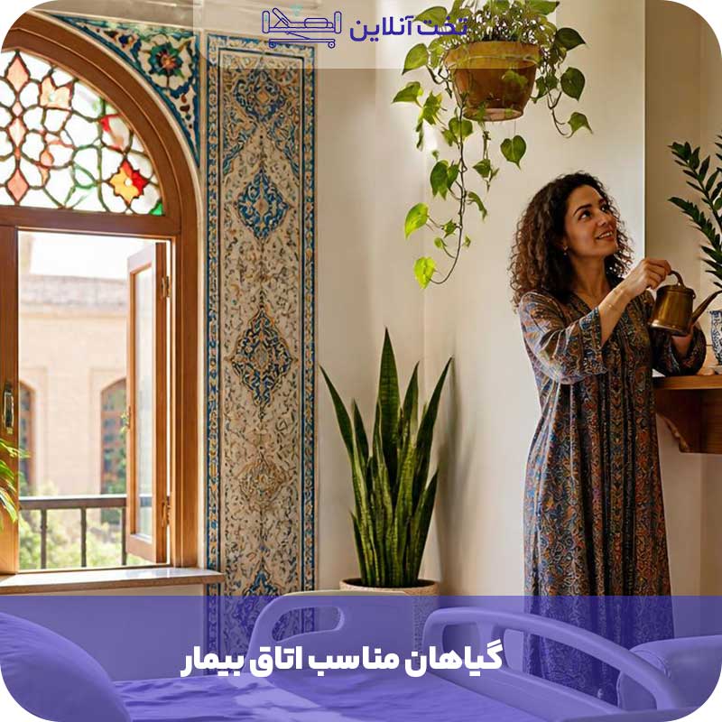 گیاهان مناسب اتاق بیمار